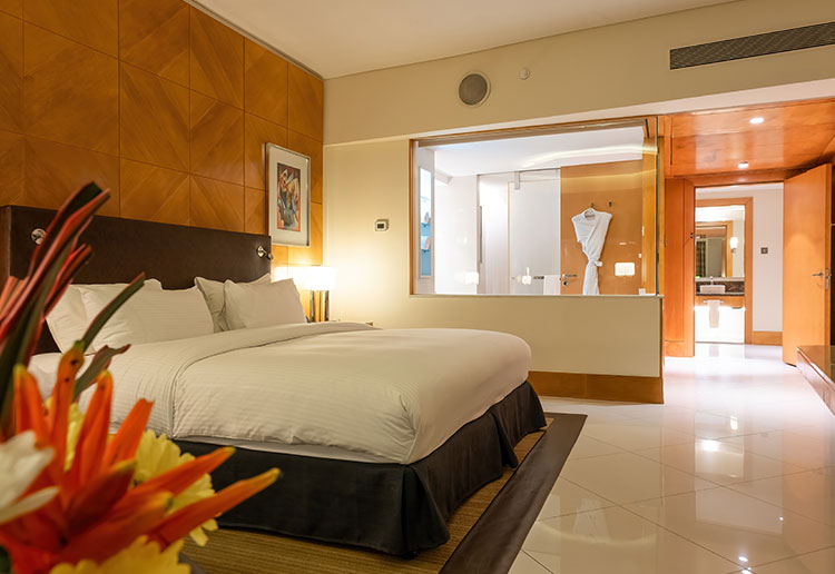 Presidential Suite